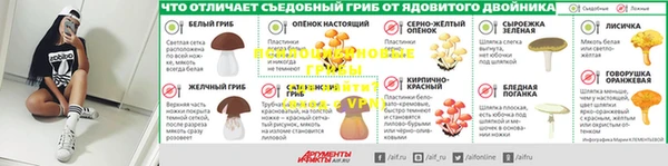 гидропоника Алзамай