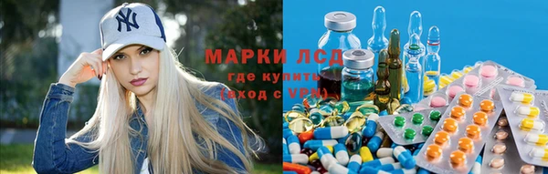 гидропоника Алзамай