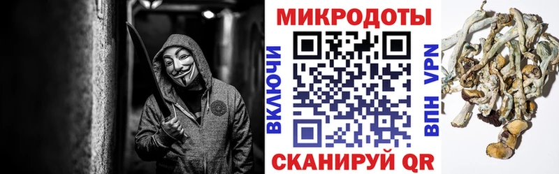 Псилоцибиновые грибы Cubensis  даркнет телеграм  Катайск 